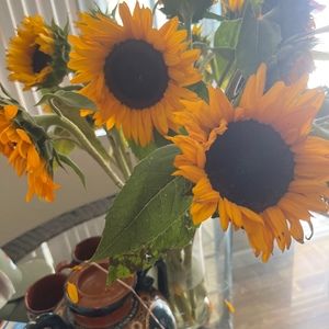 Meet your Posher, Paulina